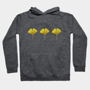 3 Yellow Ginkgo Leaves Hoodie